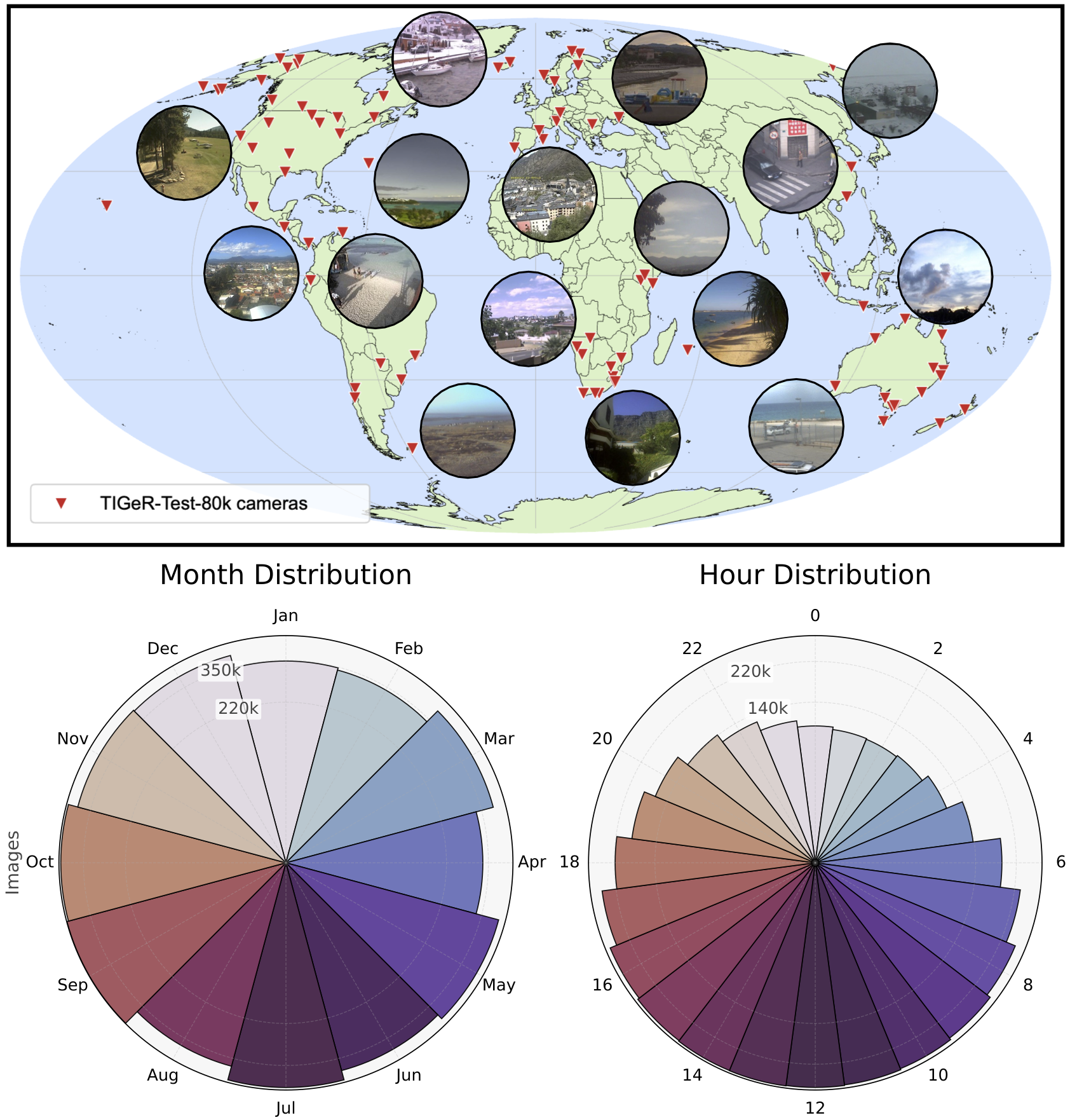 Dataset distribution visualization for TIGeR.